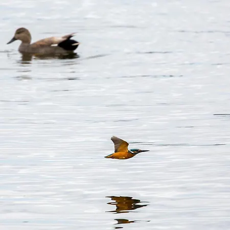 Апартаменты Maribell Jabel