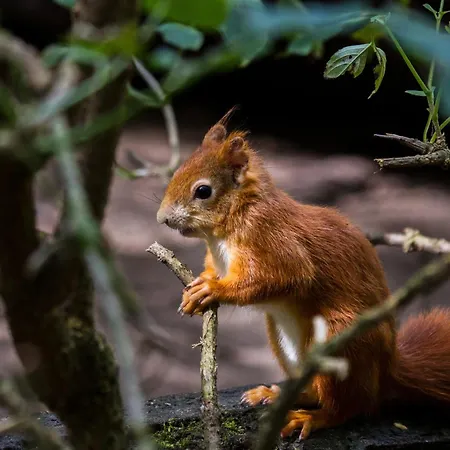 Апартаменты Maribell